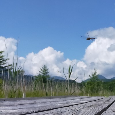 Oniyanma Selection 1 Front Cover