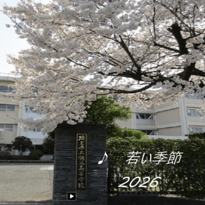 若い季節 (2026 Remix)のジャケット写真