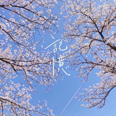 記憶のジャケット写真