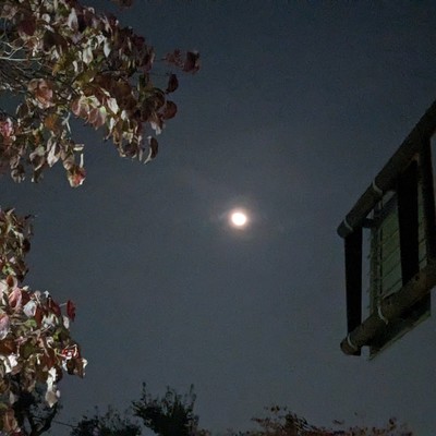 Nakenaiitai Front Cover