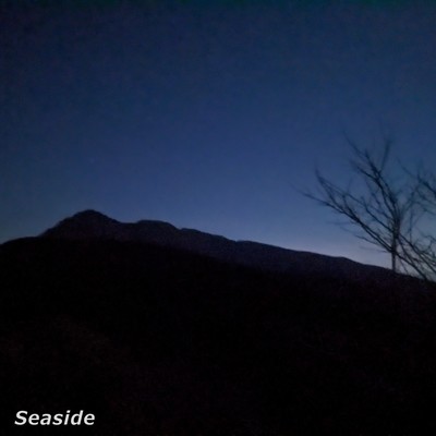 Seaside (feat. HATSUNE MIKU) Front Cover