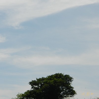 微睡みのジャケット写真