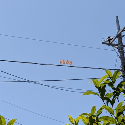 Pinky Front Cover