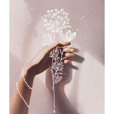 オキナグサのジャケット写真