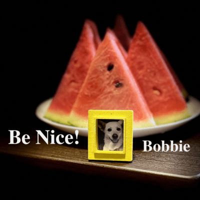 Be Nice! Front Cover