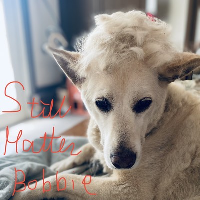 Still Matterのジャケット写真