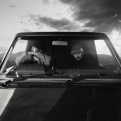 Foggy vil essential Front Cover