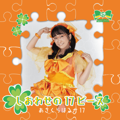 17 Pieces of Happiness Front Cover