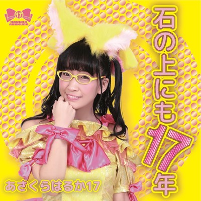 Seventeen years on stone Front Cover