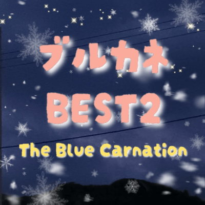ブルカネベスト2のジャケット写真