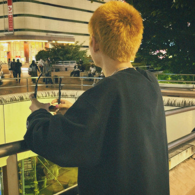 大きな存在のジャケット写真