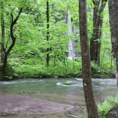 Song for a Silent Sky Front Cover