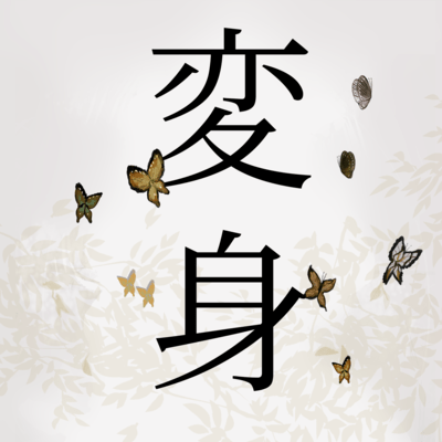 Die Verwandlung Front Cover