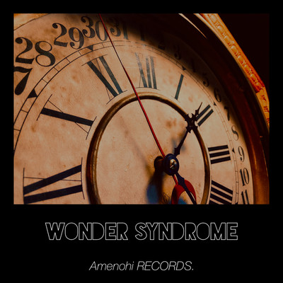 Wonder syndromeのジャケット写真