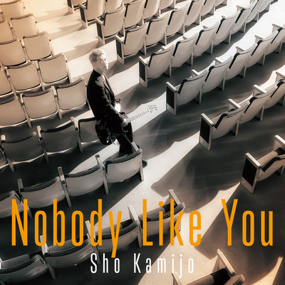 Nobody Like You Front Cover