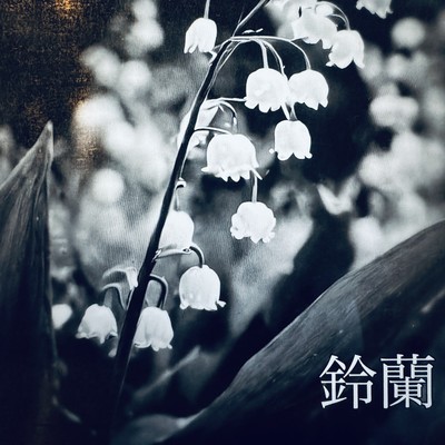 Lily of the valley (feat. Haruno Sora) Front Cover