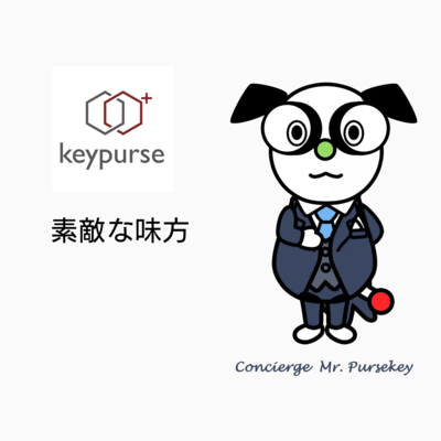 素敵な味方のジャケット写真