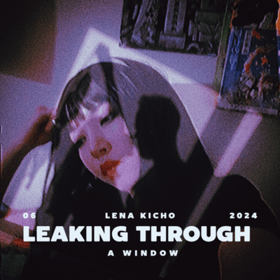 Lerking through a window Front Cover