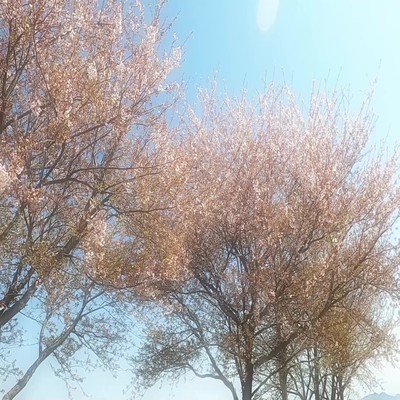 また会えるその日来るまでのジャケット写真