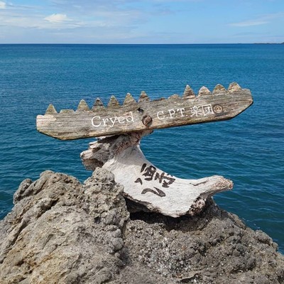 漂のジャケット写真