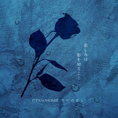 Sadness Knows the Shadow Front Cover