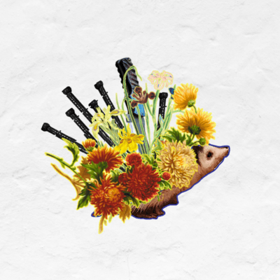 Hedgehog Front Cover