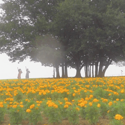 プラチナハートのジャケット写真