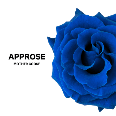 APPROSEのジャケット写真