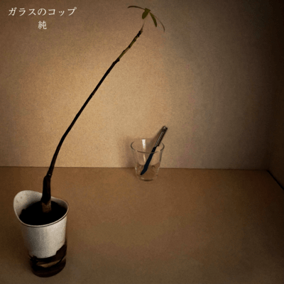 ガラスのコップのジャケット写真