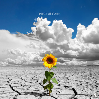 Sunflower Front Cover