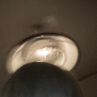 rosaのジャケット写真