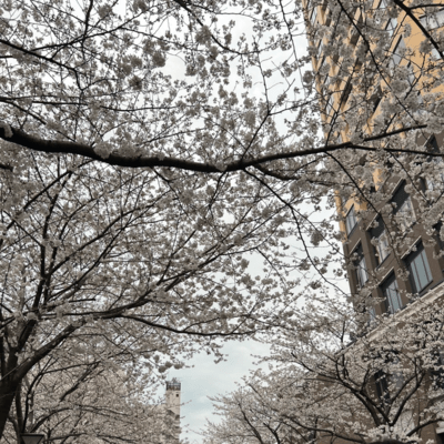 Seasonsのジャケット写真