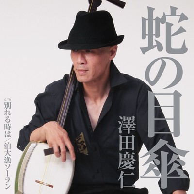 Janomegasa Front Cover