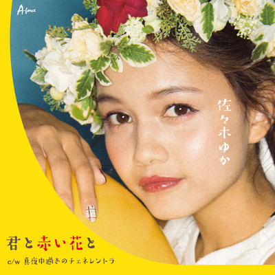 Kimi to Akaihana to Front Cover