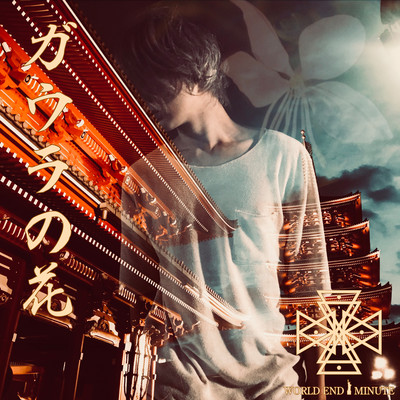 gaura no hana Front Cover