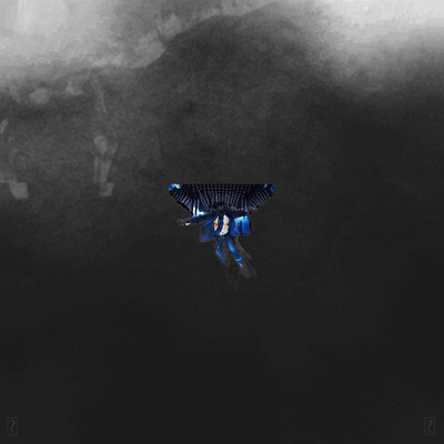 Maldororのジャケット写真