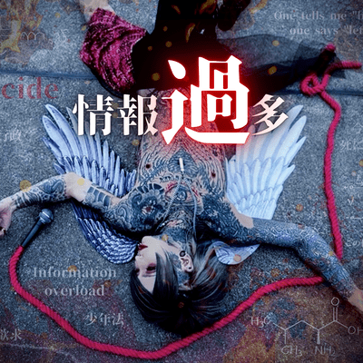 Information overload Front Cover