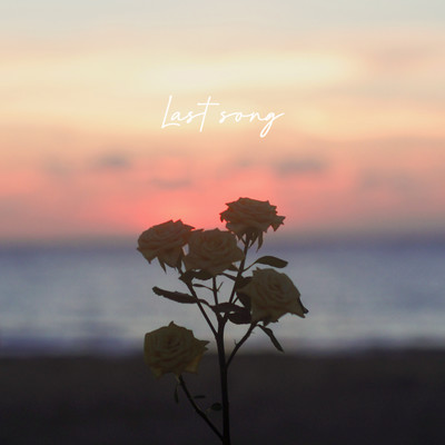 Last song Front Cover