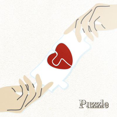 Puzzle Front Cover
