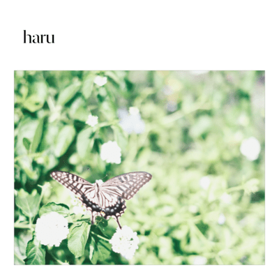 Haru (o to 1) Front Cover