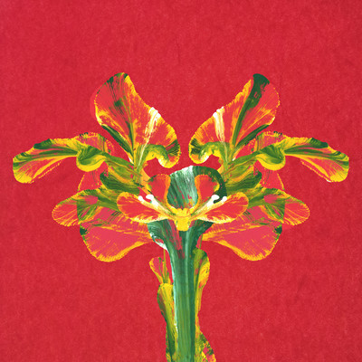 花はどんどんのジャケット写真