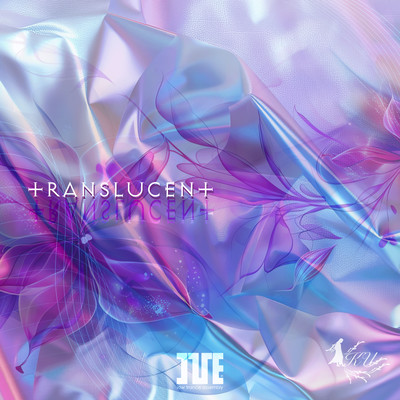 TRANSLUCENT Front Cover