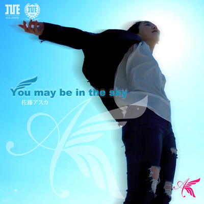You may be in the sky Front Cover