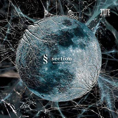 sectionのジャケット写真