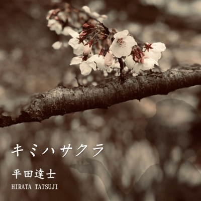 キミハサクラ Front Cover