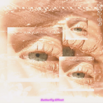 BUTTERFLY EFFECTのジャケット写真
