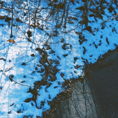 始発、白雪に (feat. 猫のおなか)のジャケット写真