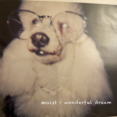 Wonderful Dreamのジャケット写真