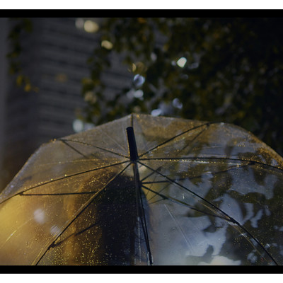 Umbrella Front Cover