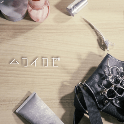 ムカイカゼのジャケット写真